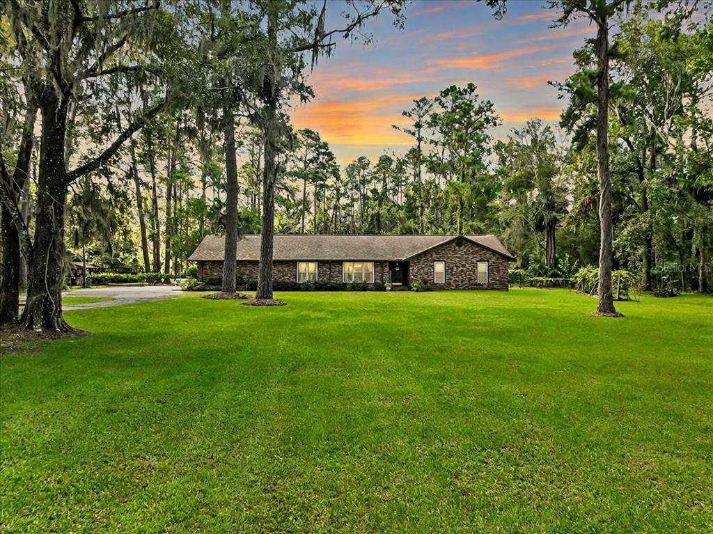 a view of yard with trees and grass