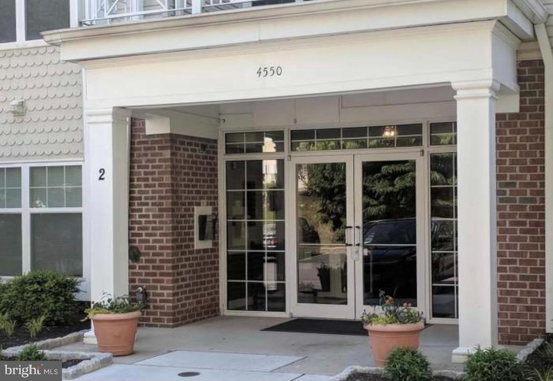 a front view of a building with a potted plant windows