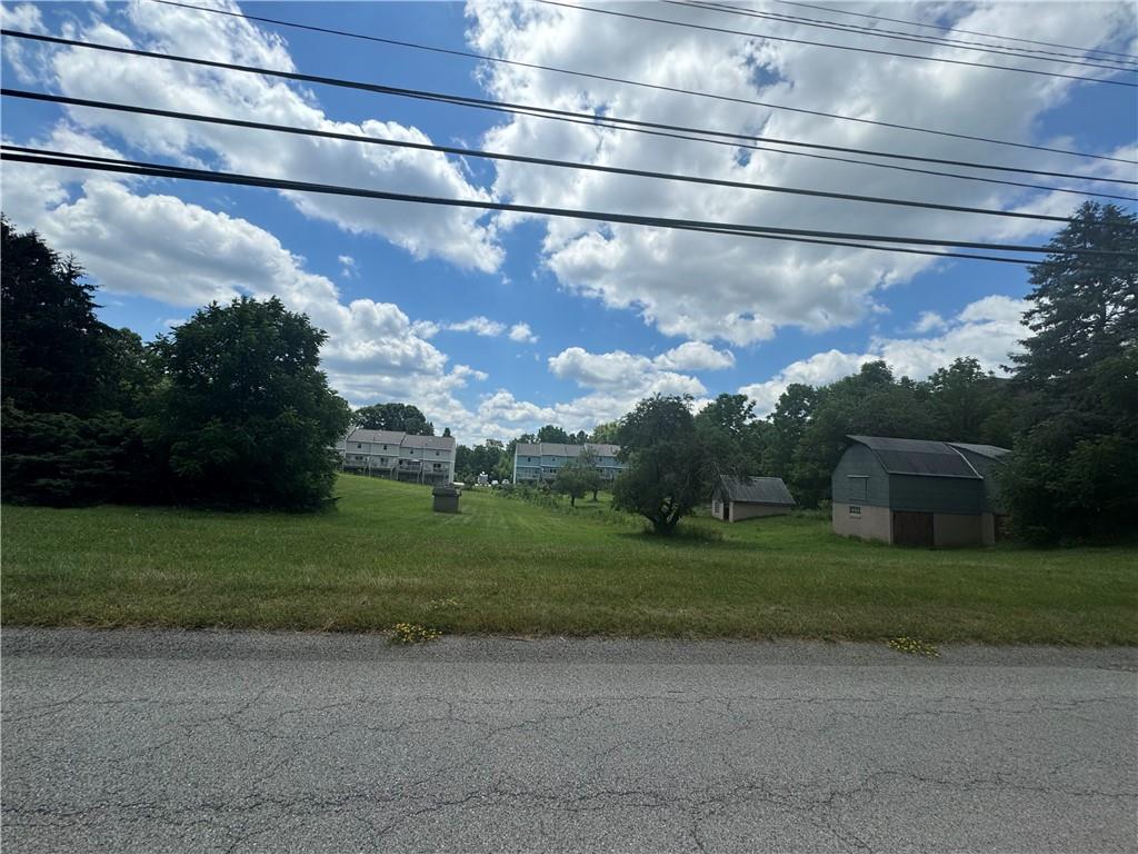 a view of a yard with a big yard