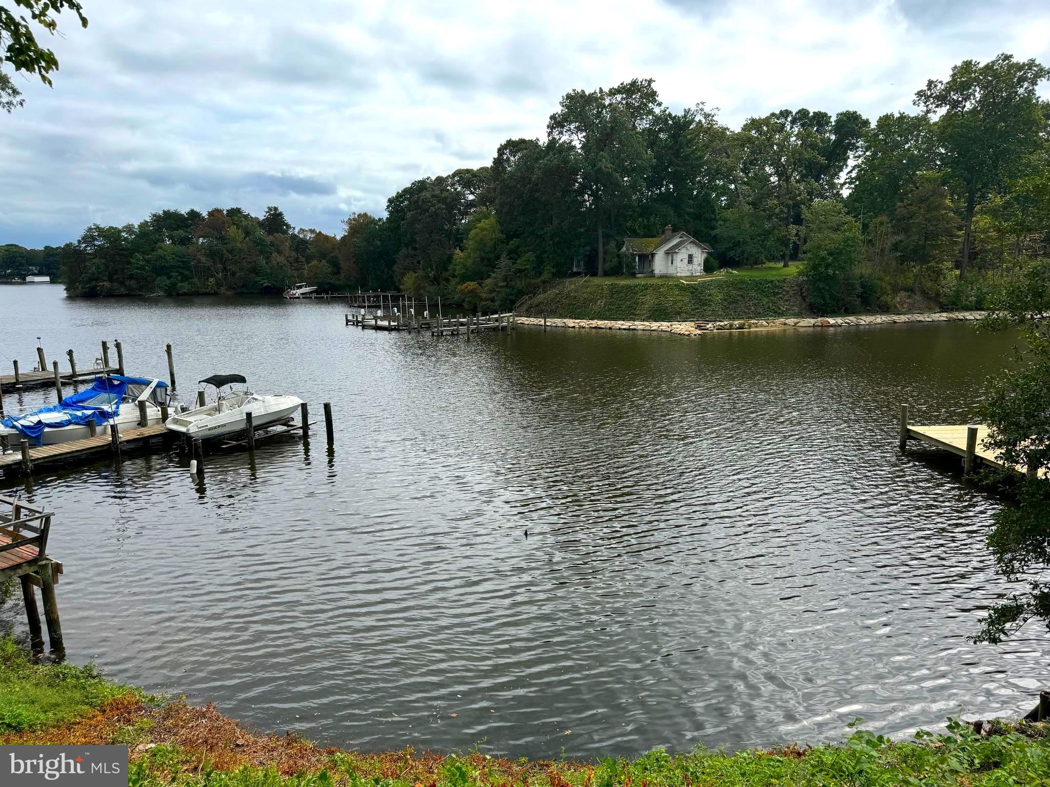 a view of a lake with boats and trees in the background