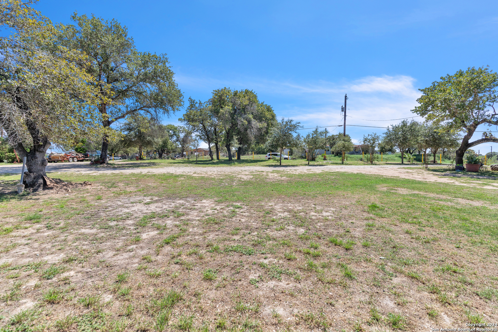 a view of a field with a tree in the background