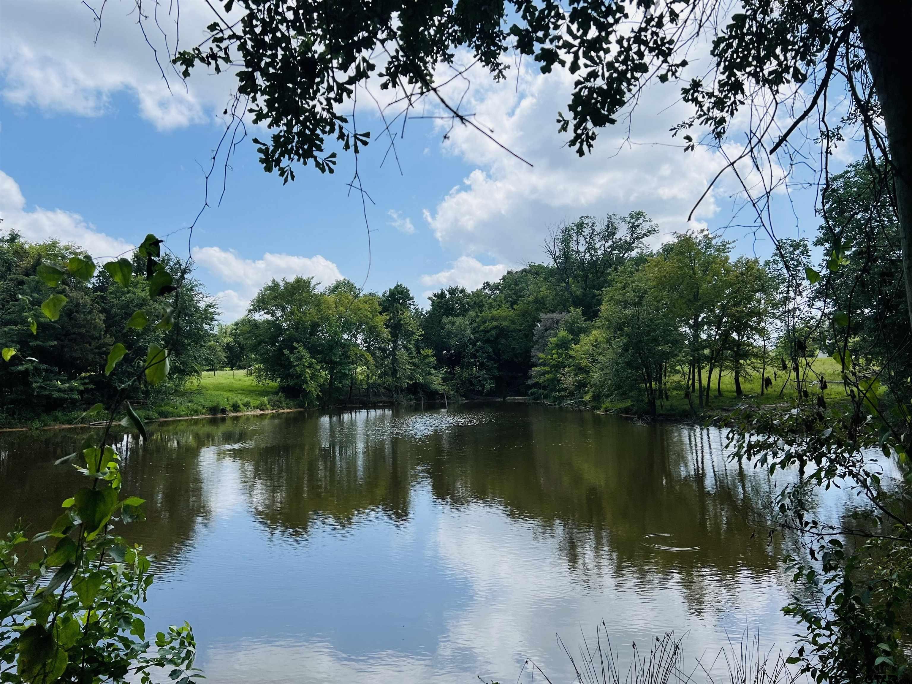 a view of a lake with a yard and trees all around