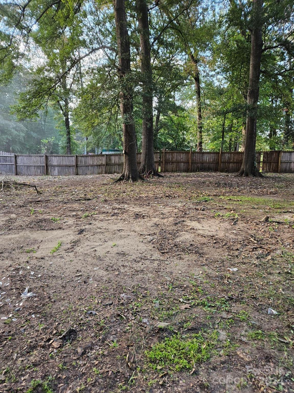 a view of a backyard with trees