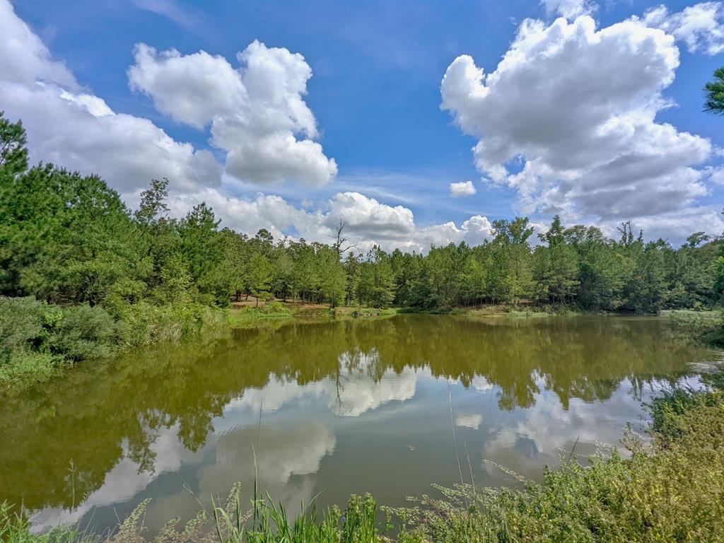 a view of a lake in middle of the town