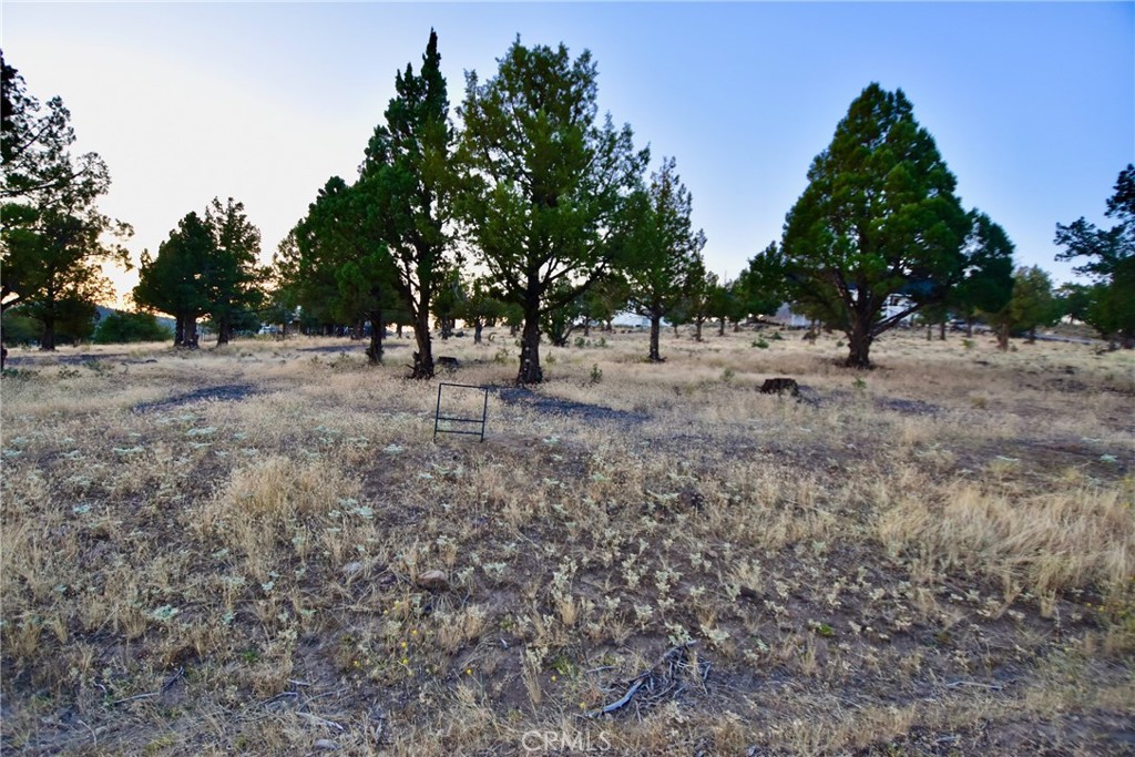 a view of dirt yard with a trees