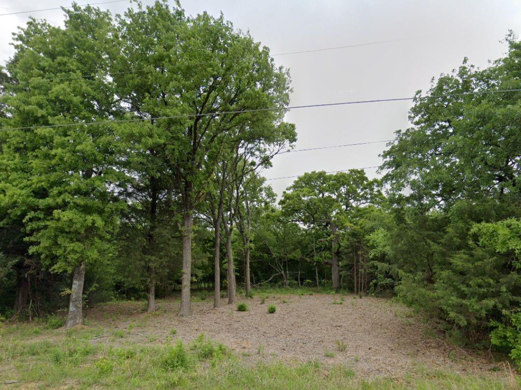 a view of outdoor space and trees