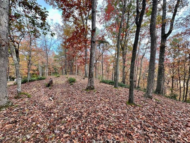 $44,900 | Lot 16 Cricket Lane | Brasstown Township - Clay County