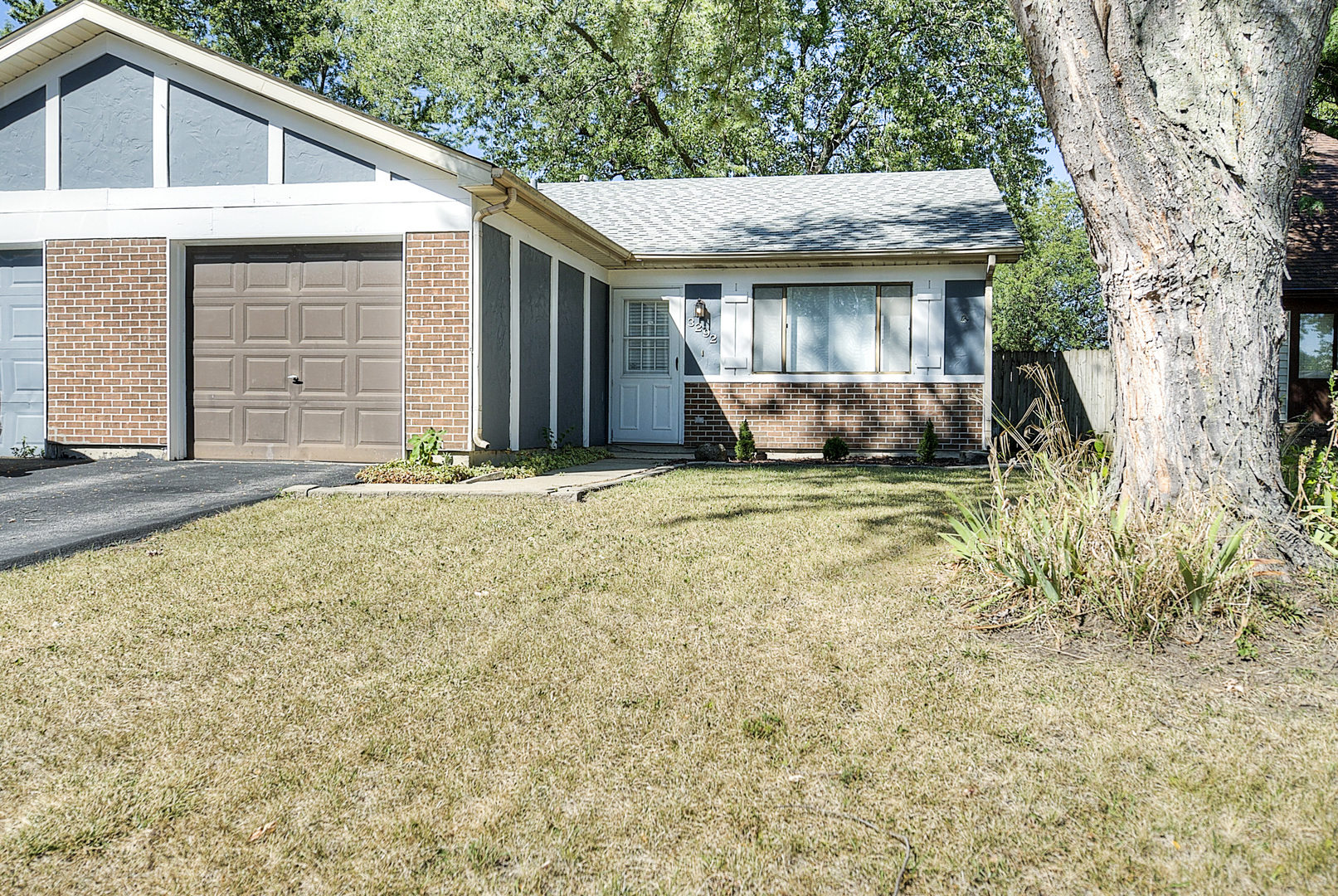 a view of a house with backyard and a tree