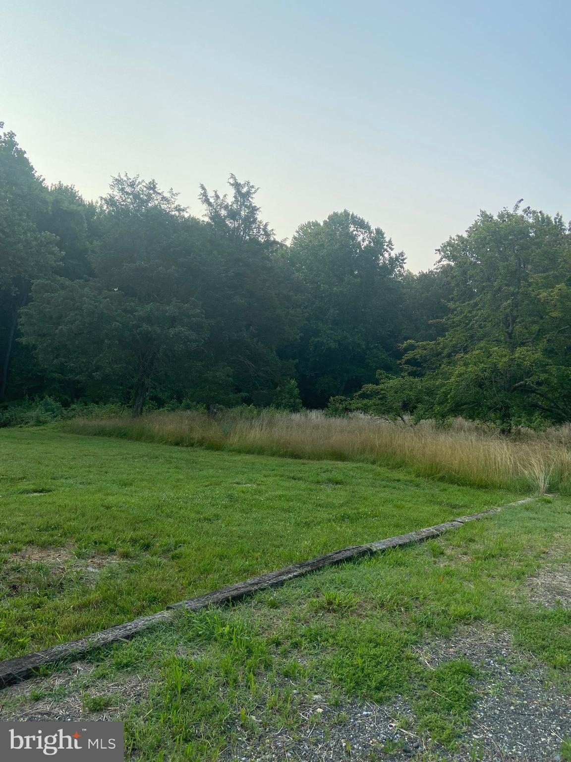 a view of a field of grass and trees