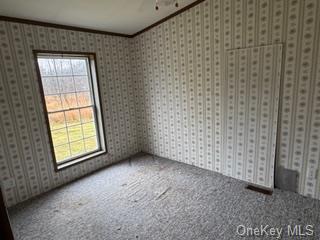 Spare room featuring plenty of natural light, carpet, and ornamental molding