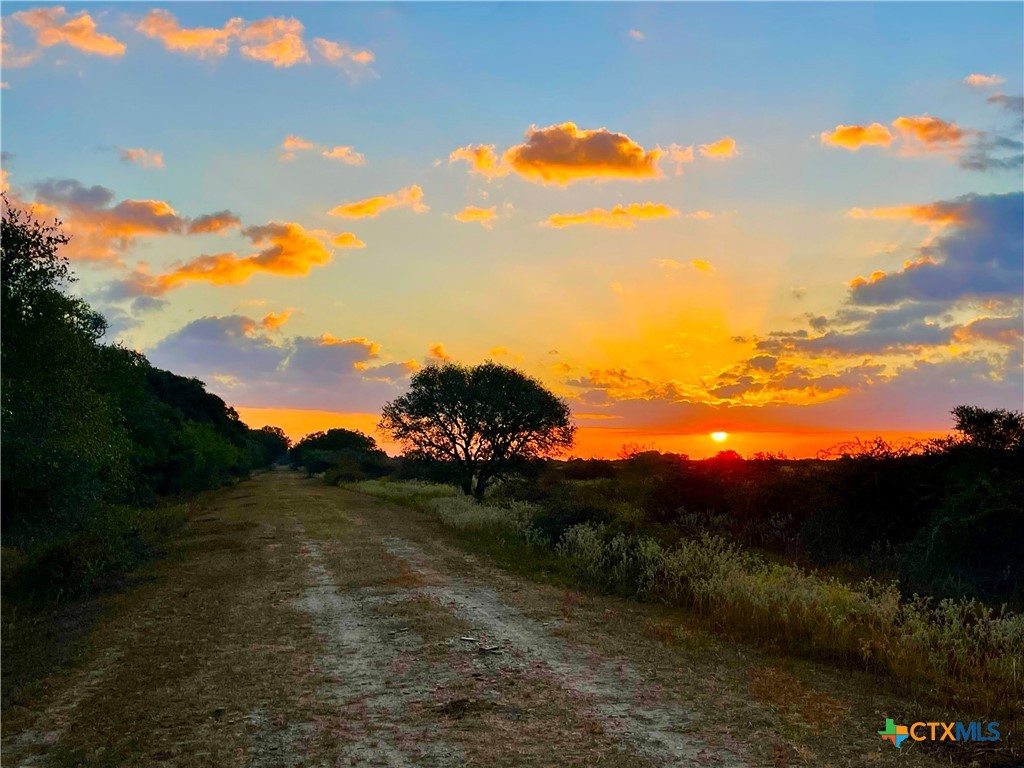 a view of sunset