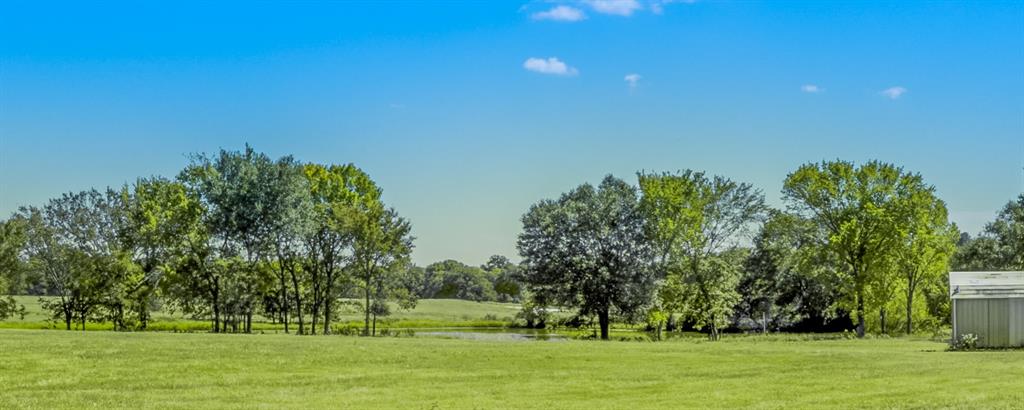 a view of a park