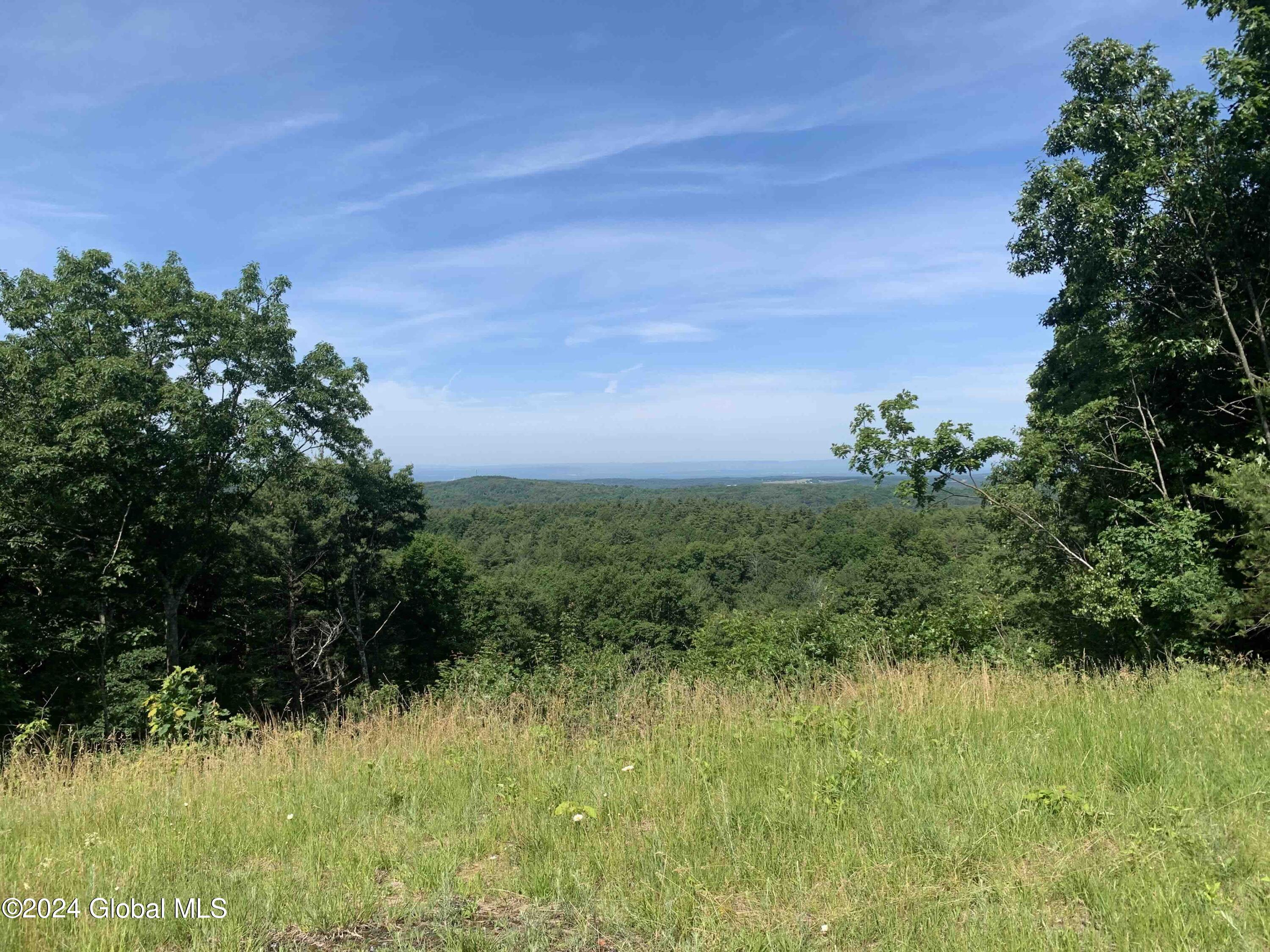 Catskill Mountain View