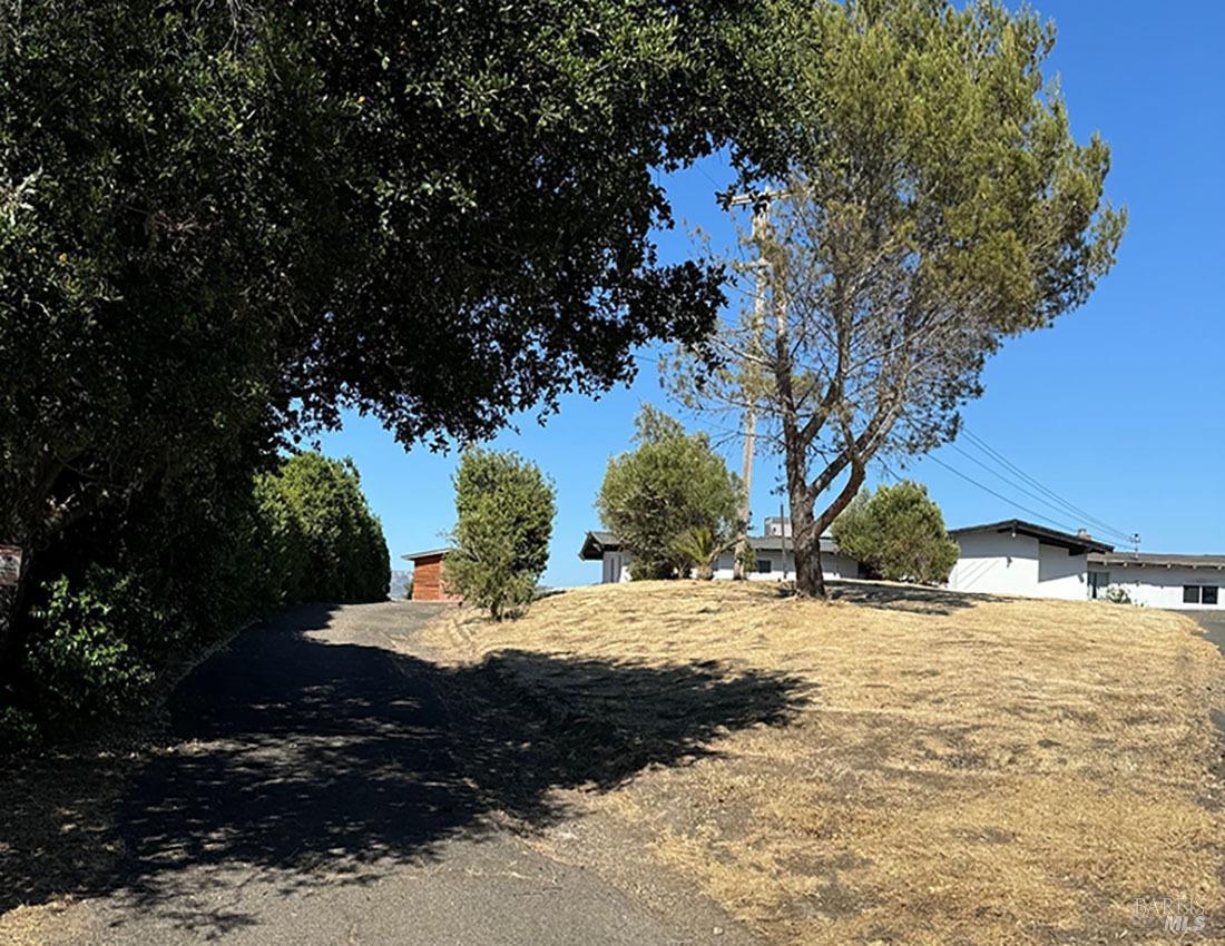 a view of a yard with a tree