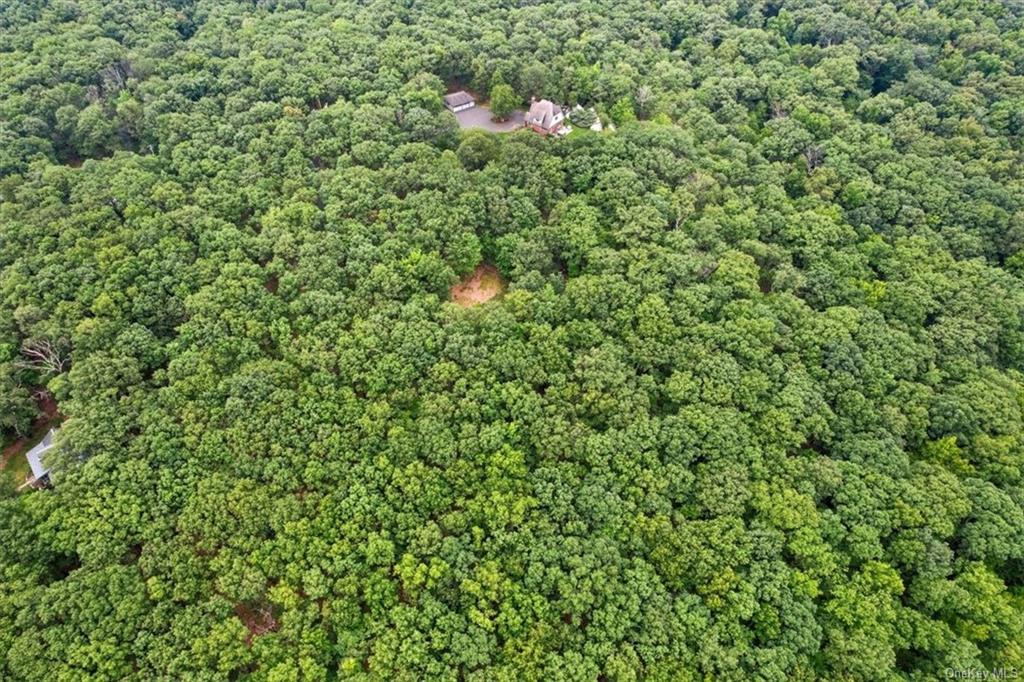 an outdoor view of a house with a tree