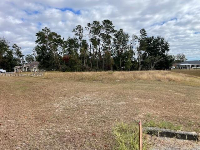 a view of empty field with trees in background