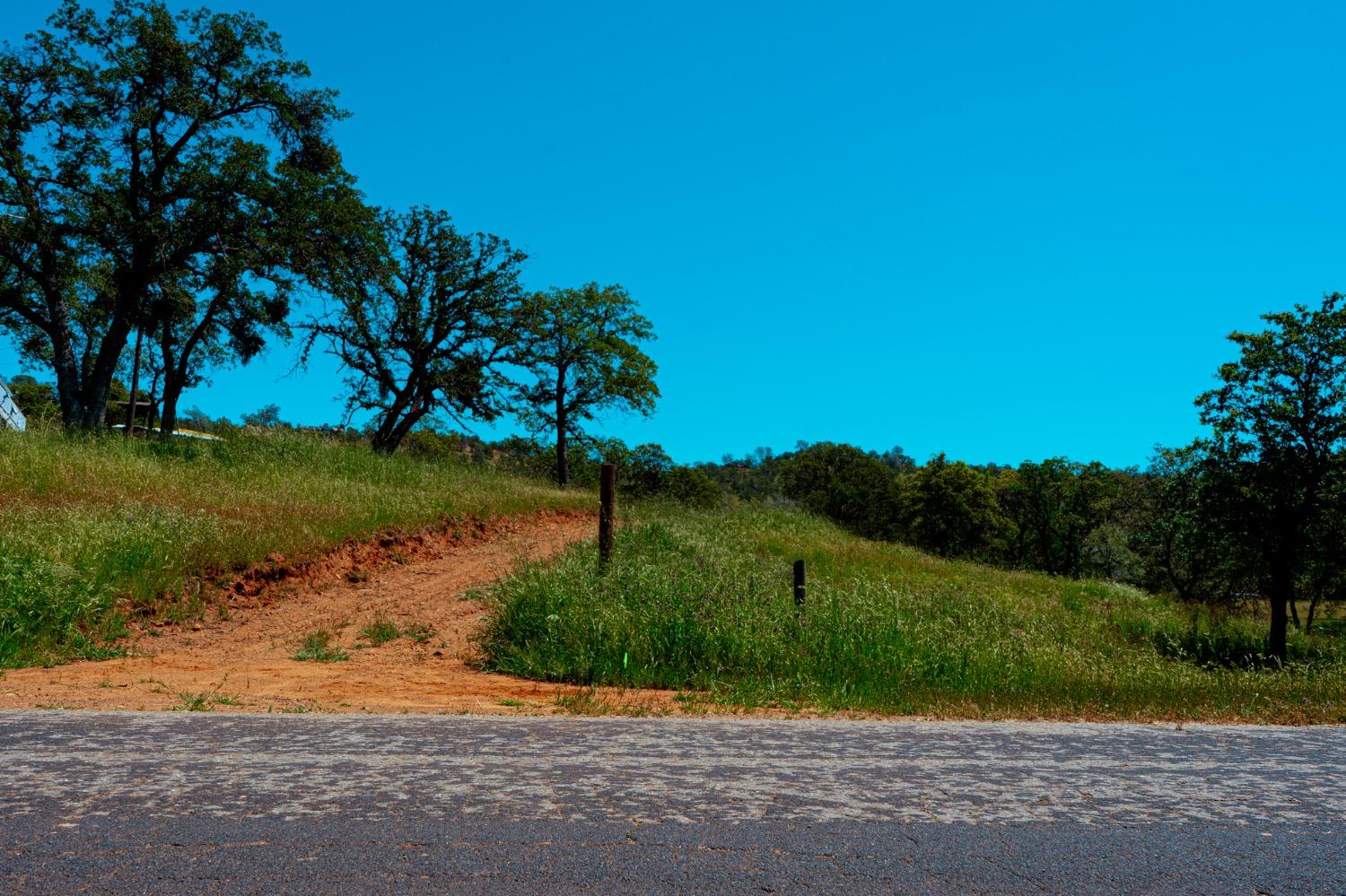 a view of a road with a yard