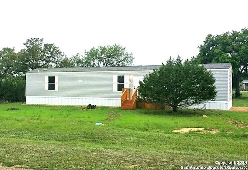 a view of a backyard with a garden and plants