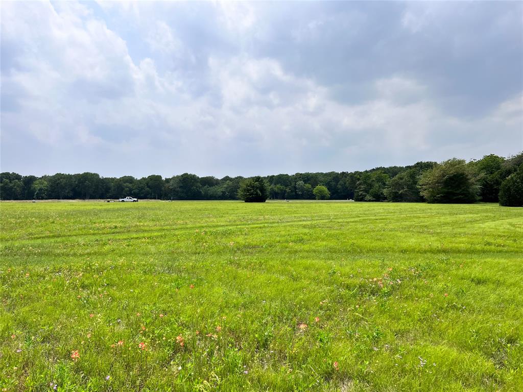 a view of a lake and a big yard