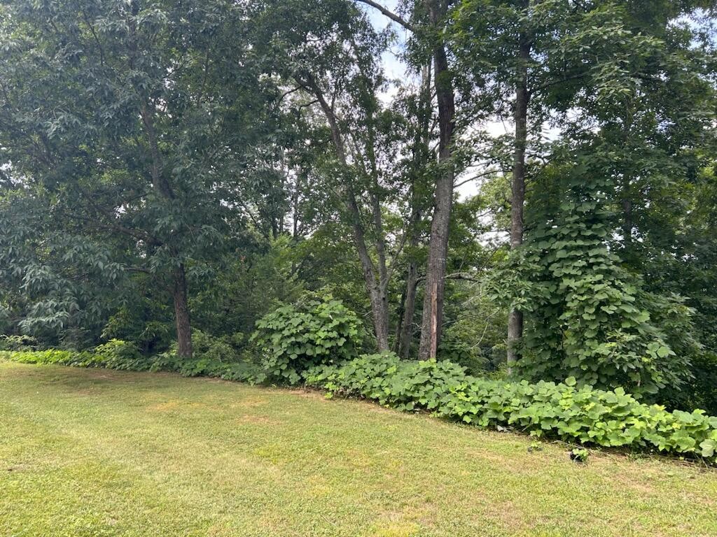 a view of outdoor space and yard