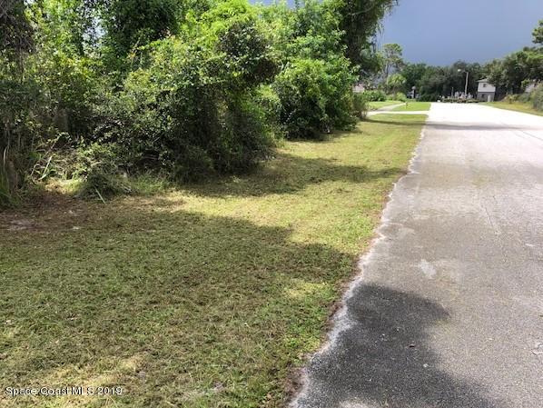 a view of a yard with trees