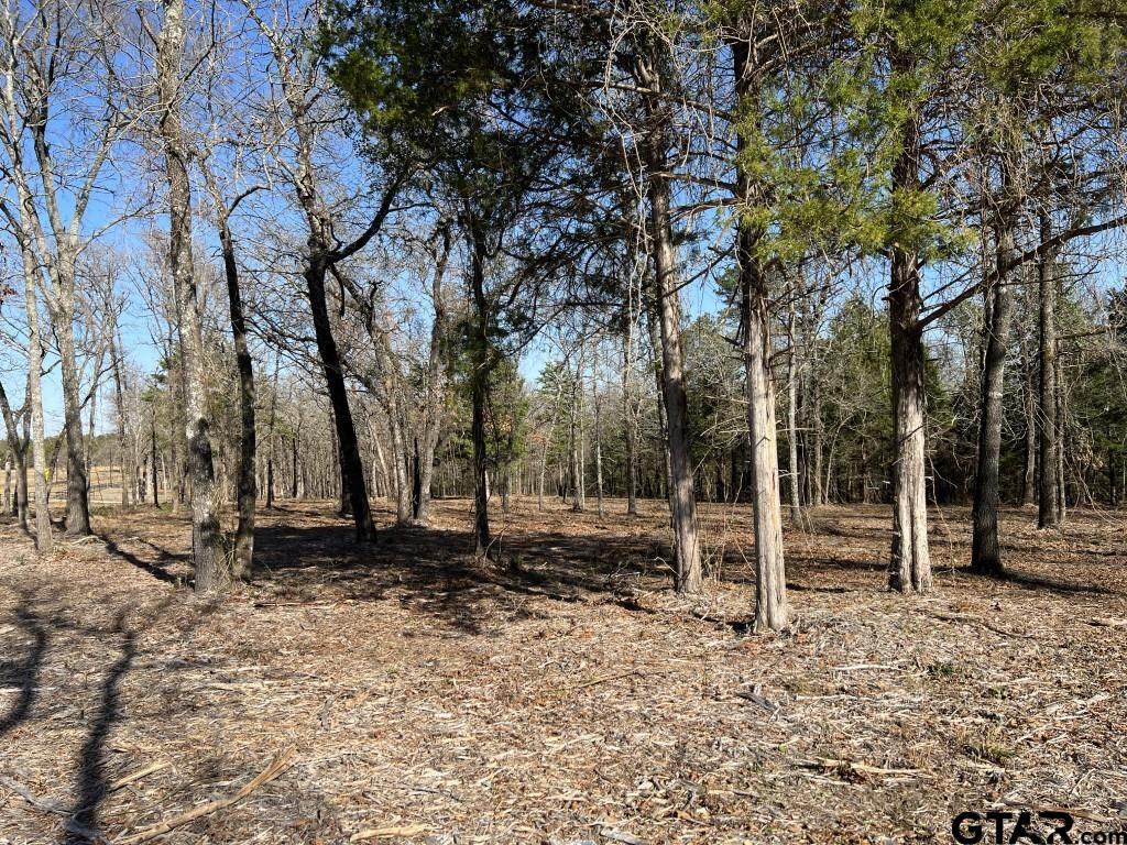 a backyard of a house with lots of trees