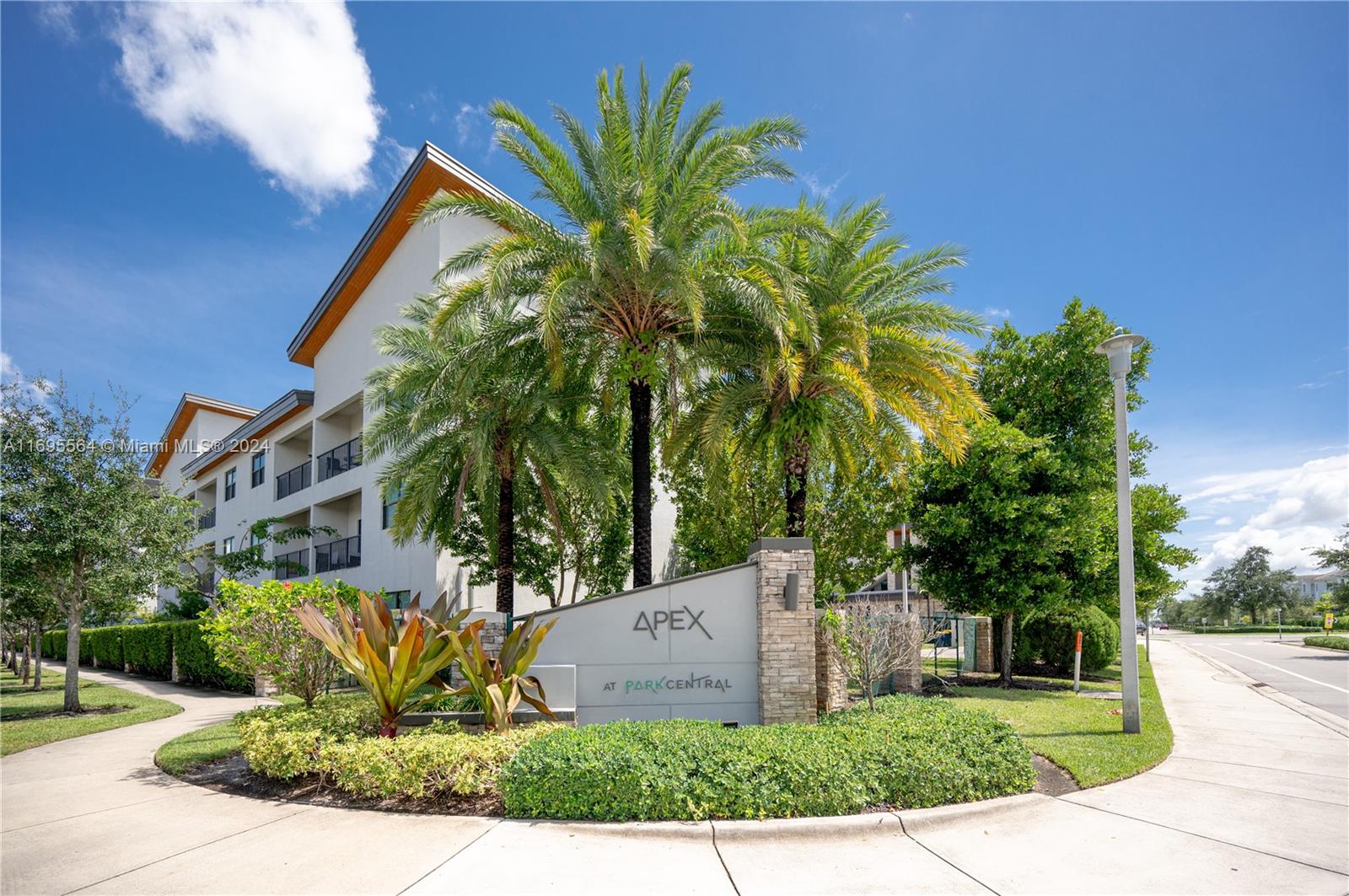 a view of a palm trees front of house