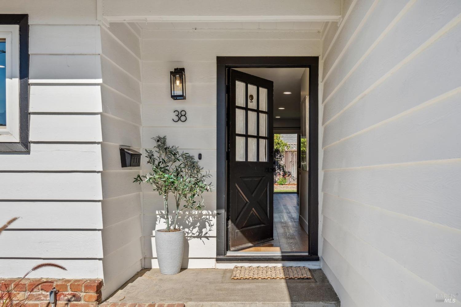 a potted plant in front of a door