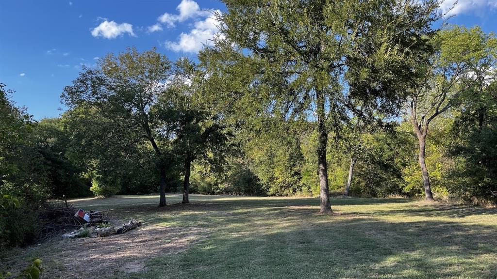 a view of a grassy field with trees