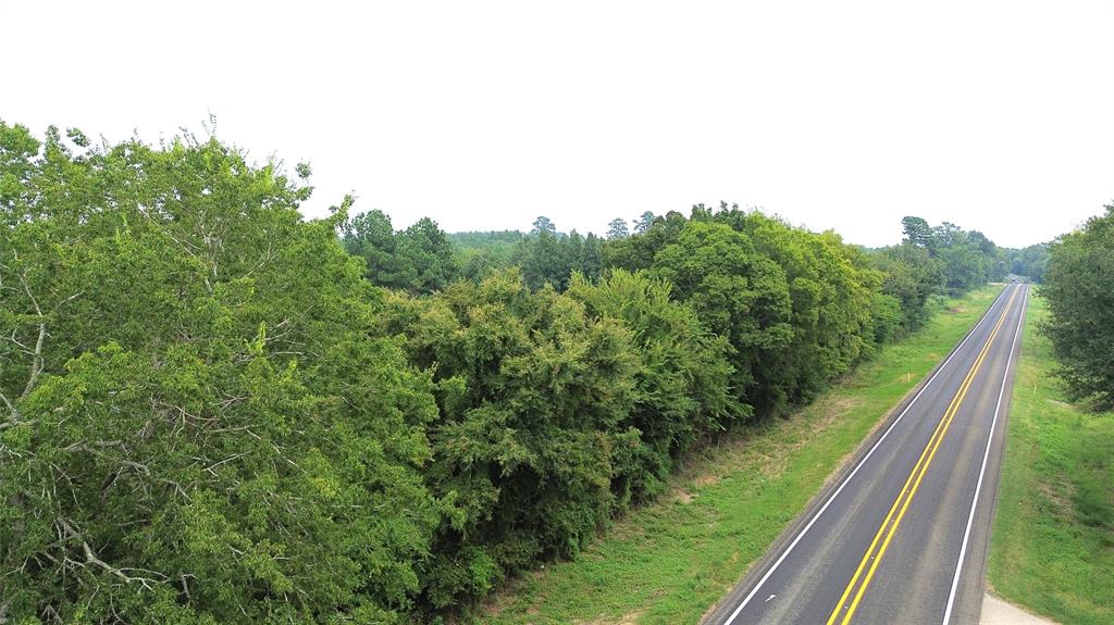 a view of a forest from a window