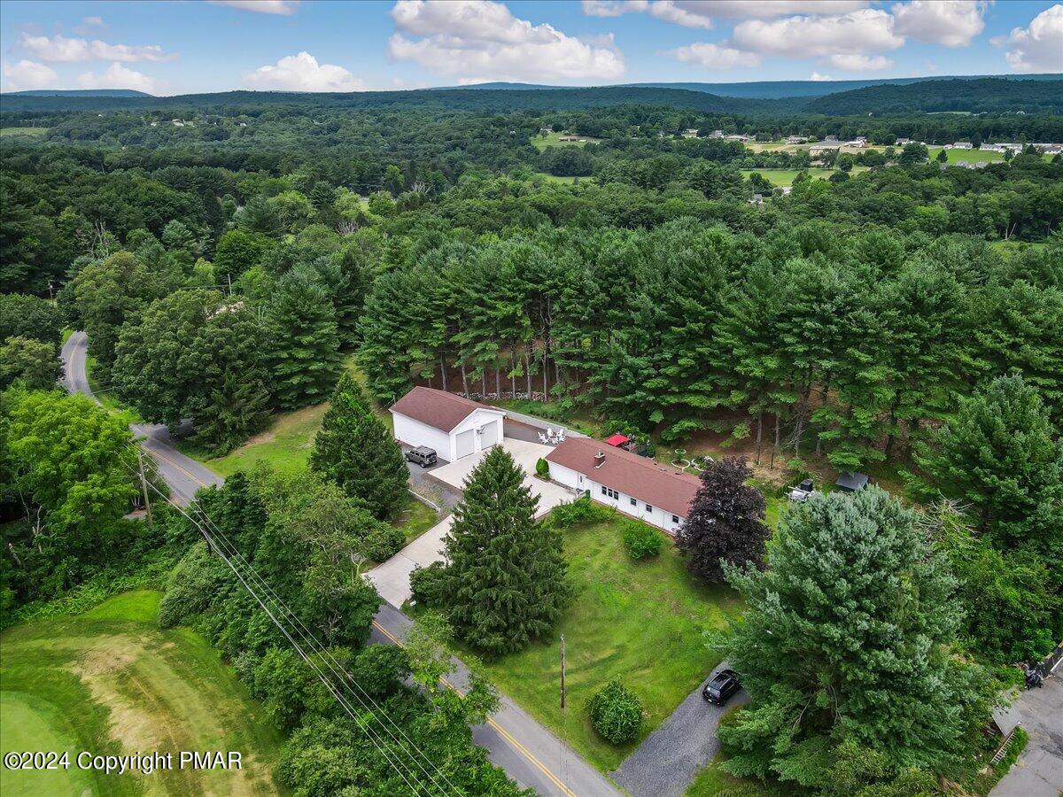 an aerial view of green landscape with trees houses and mountain view