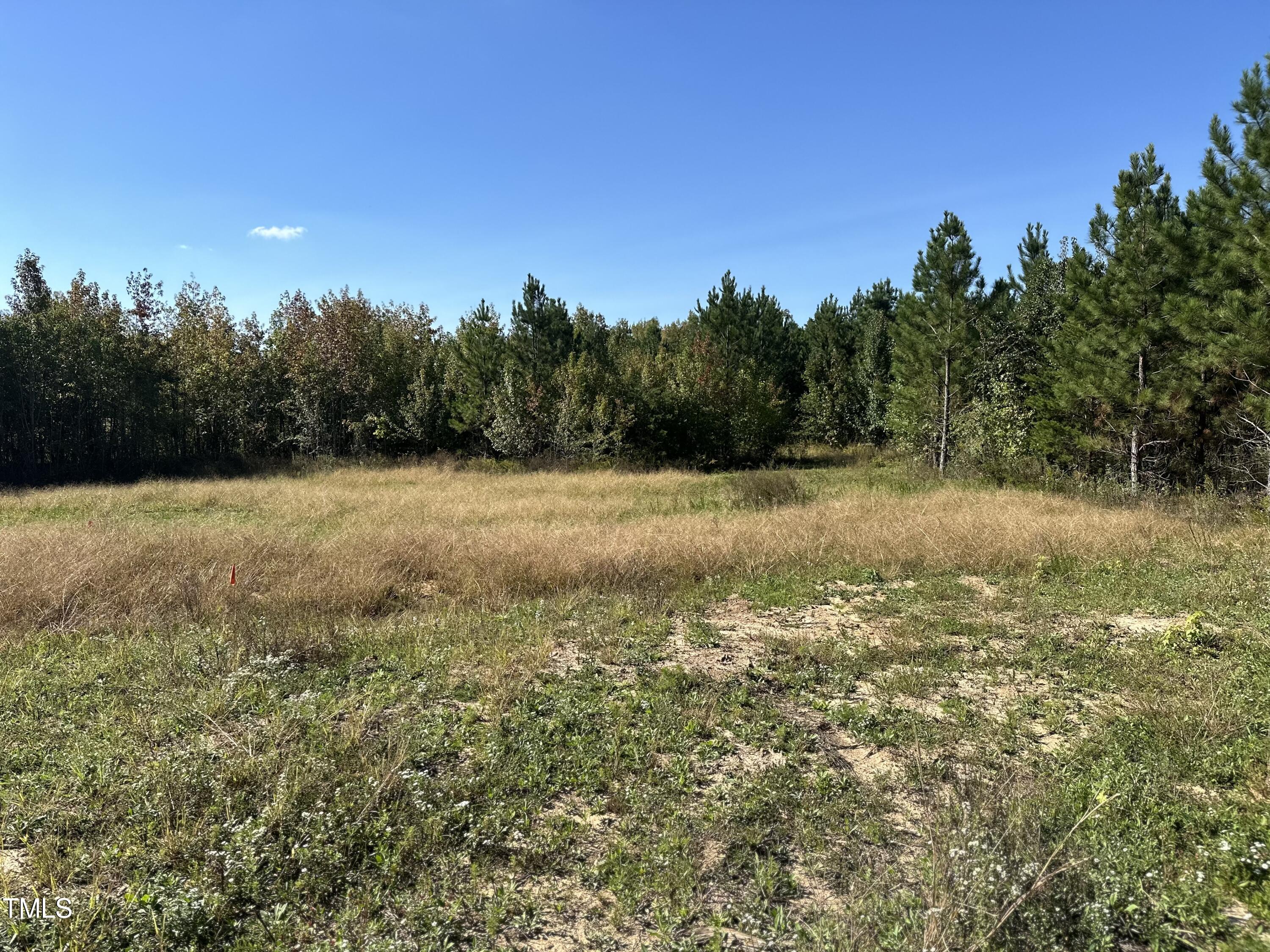 a view of a field with an ocean