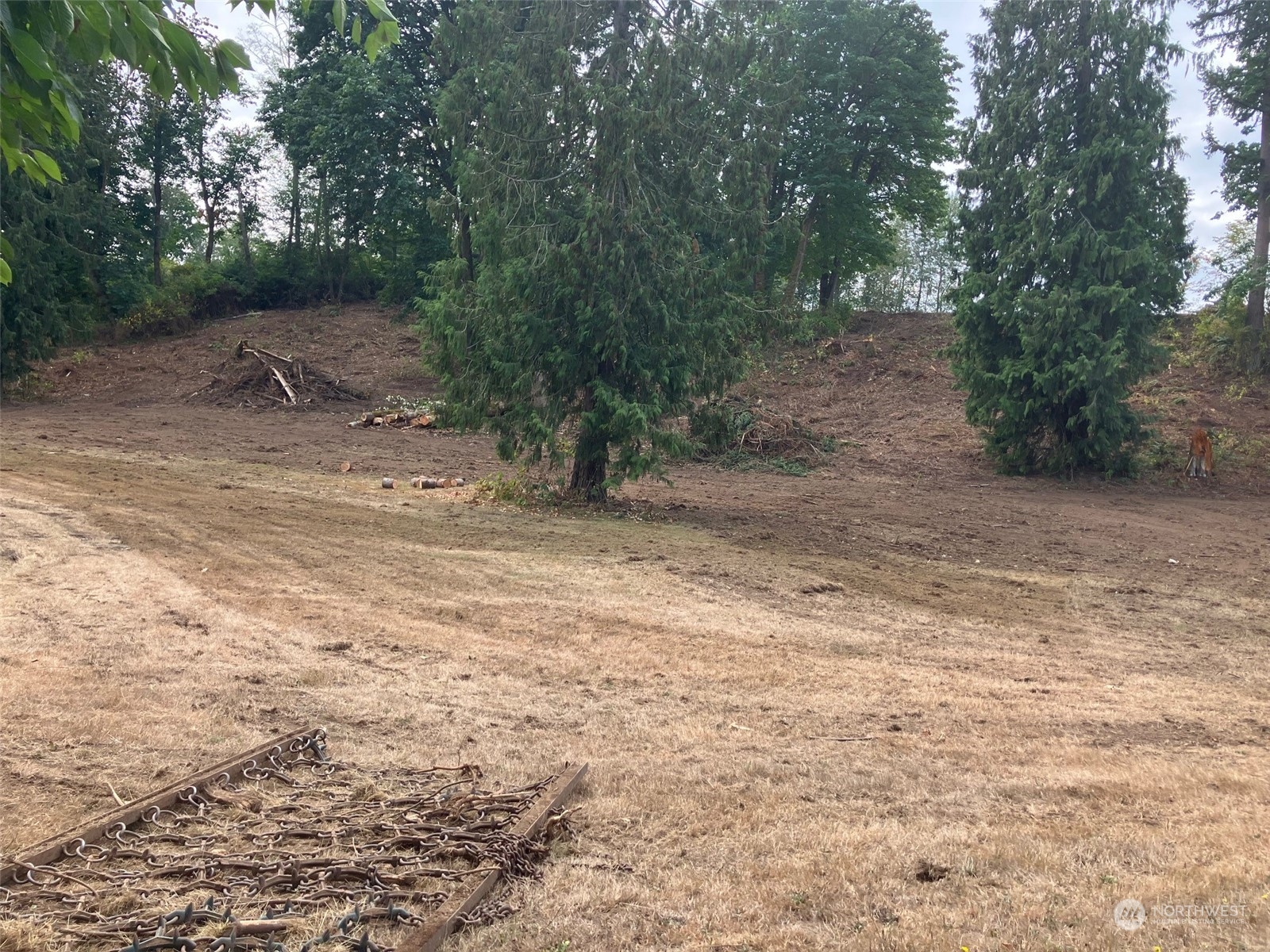 a view of a yard with a tree