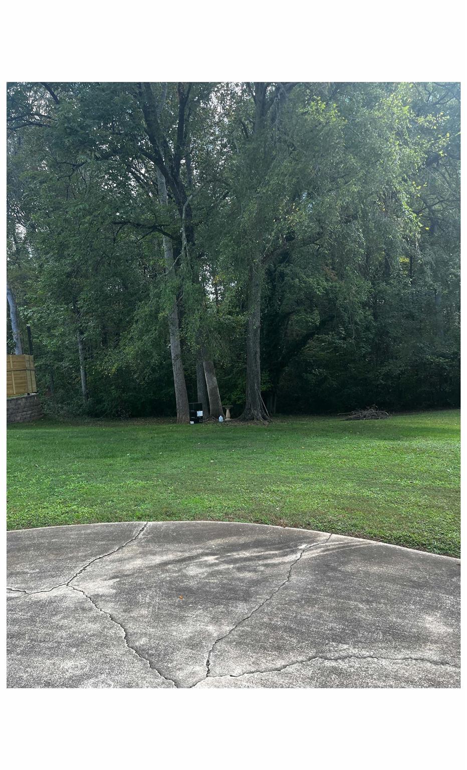 a view of a backyard