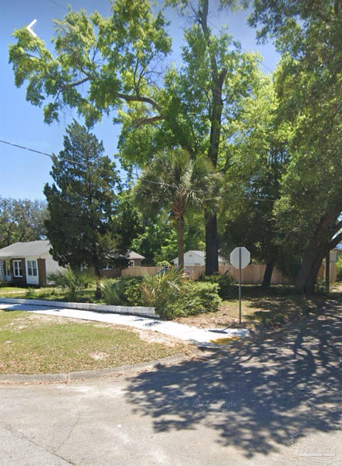 a view of a yard with plants and trees