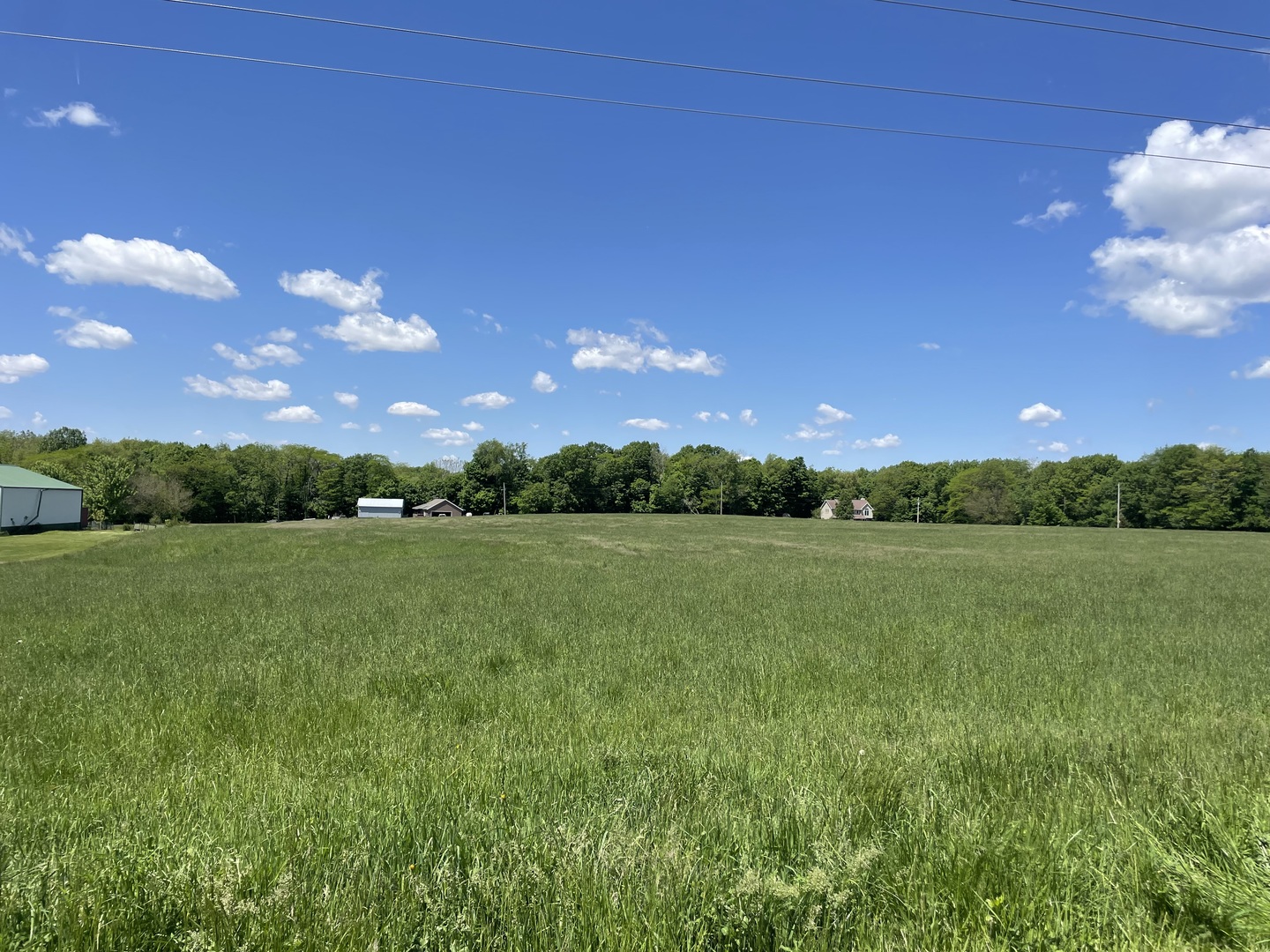 a view of a green field with an ocean