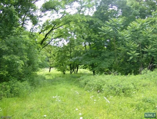 a view of green field