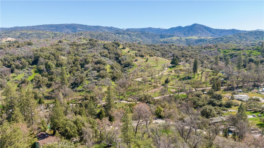 a view of a mountain in the distance in a field