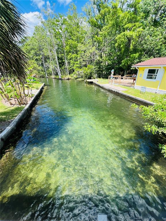 a view of a backyard with swimming pool