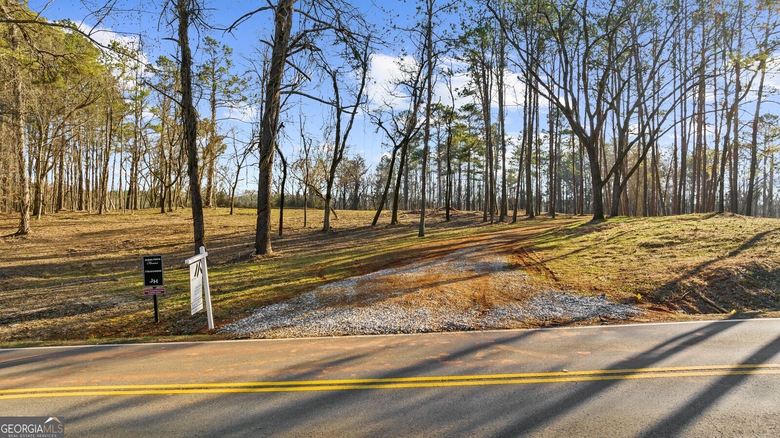 a view of a yard with large trees