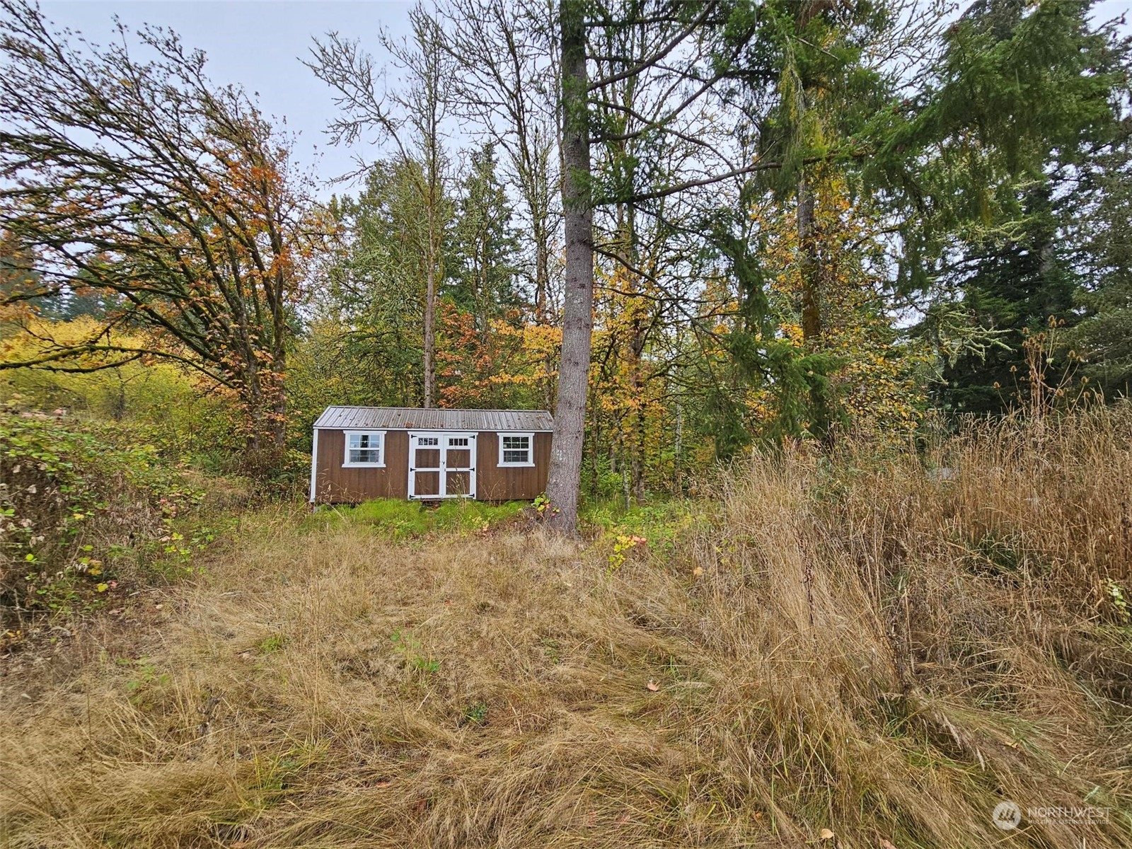 a view of a house with large trees