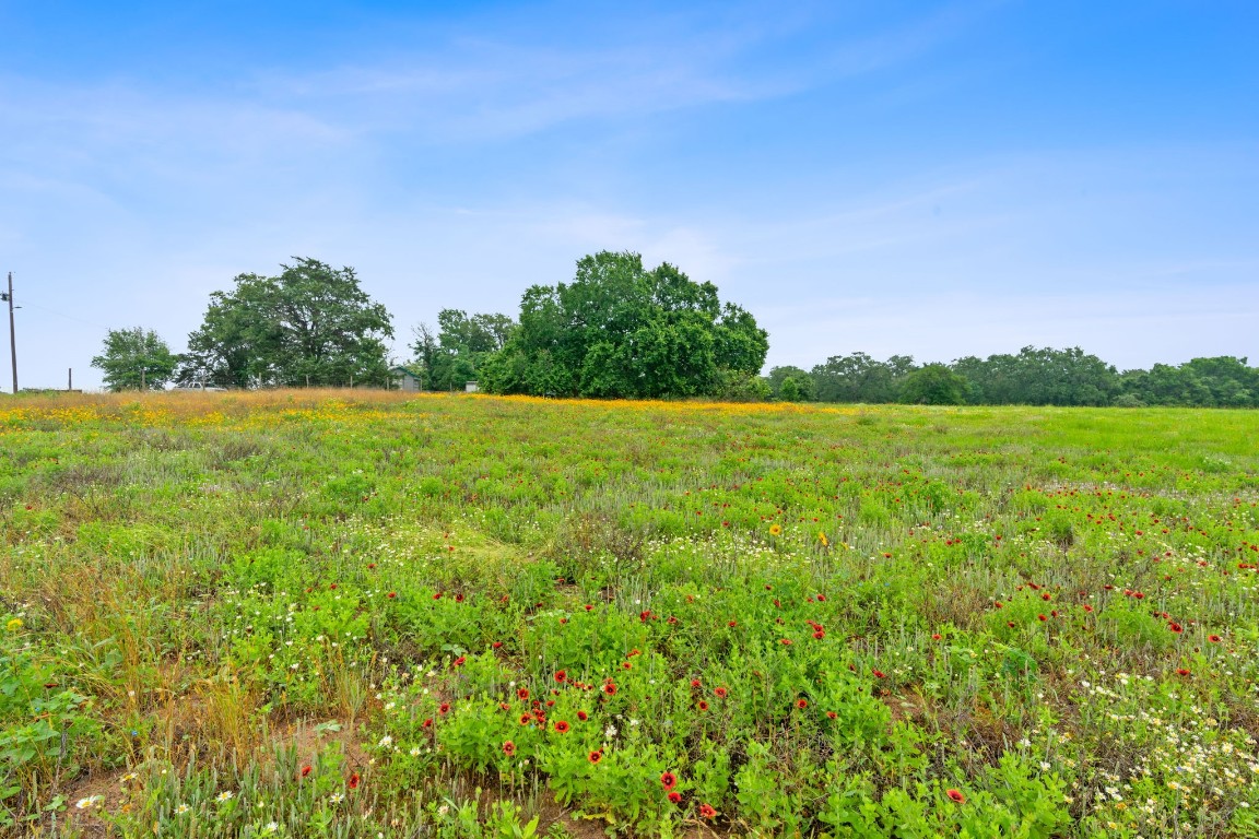 a view of yard with green space