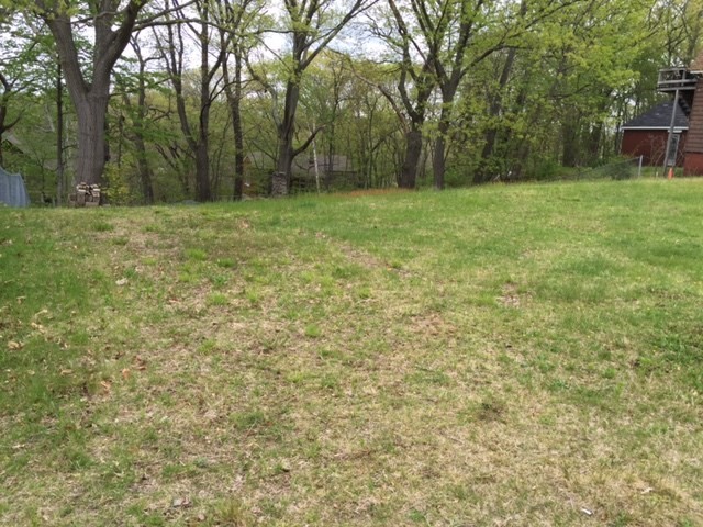 a view of a green field with trees in the background