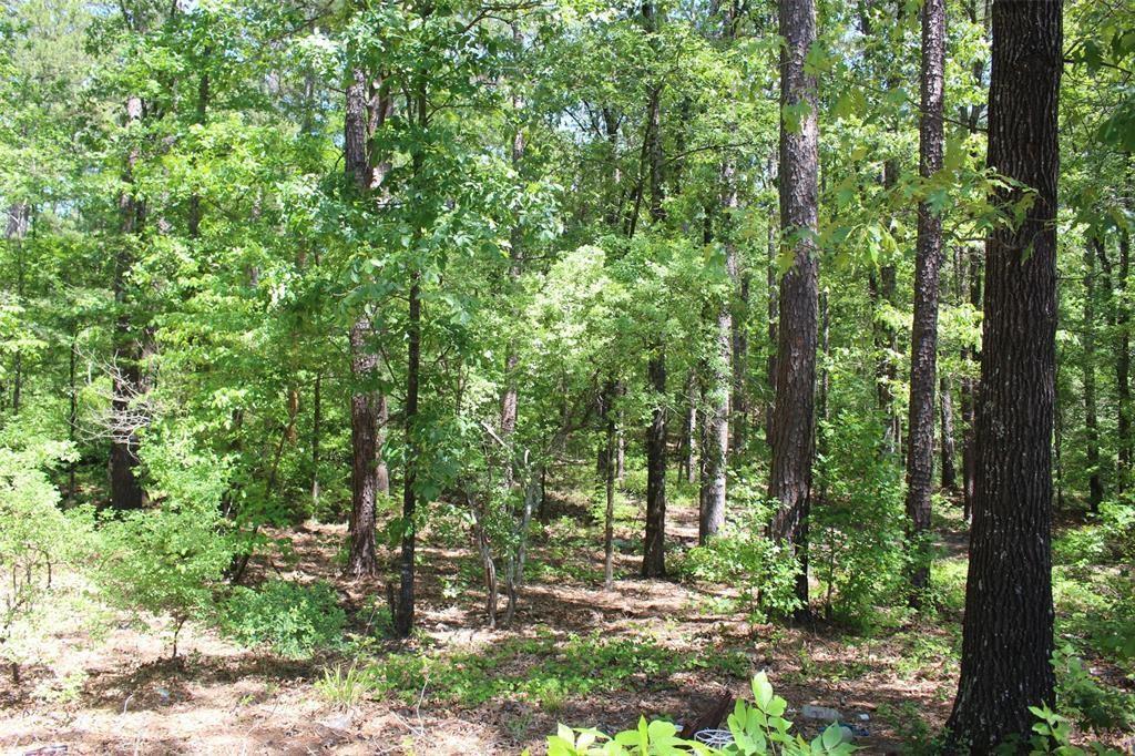 a view of outdoor space and trees