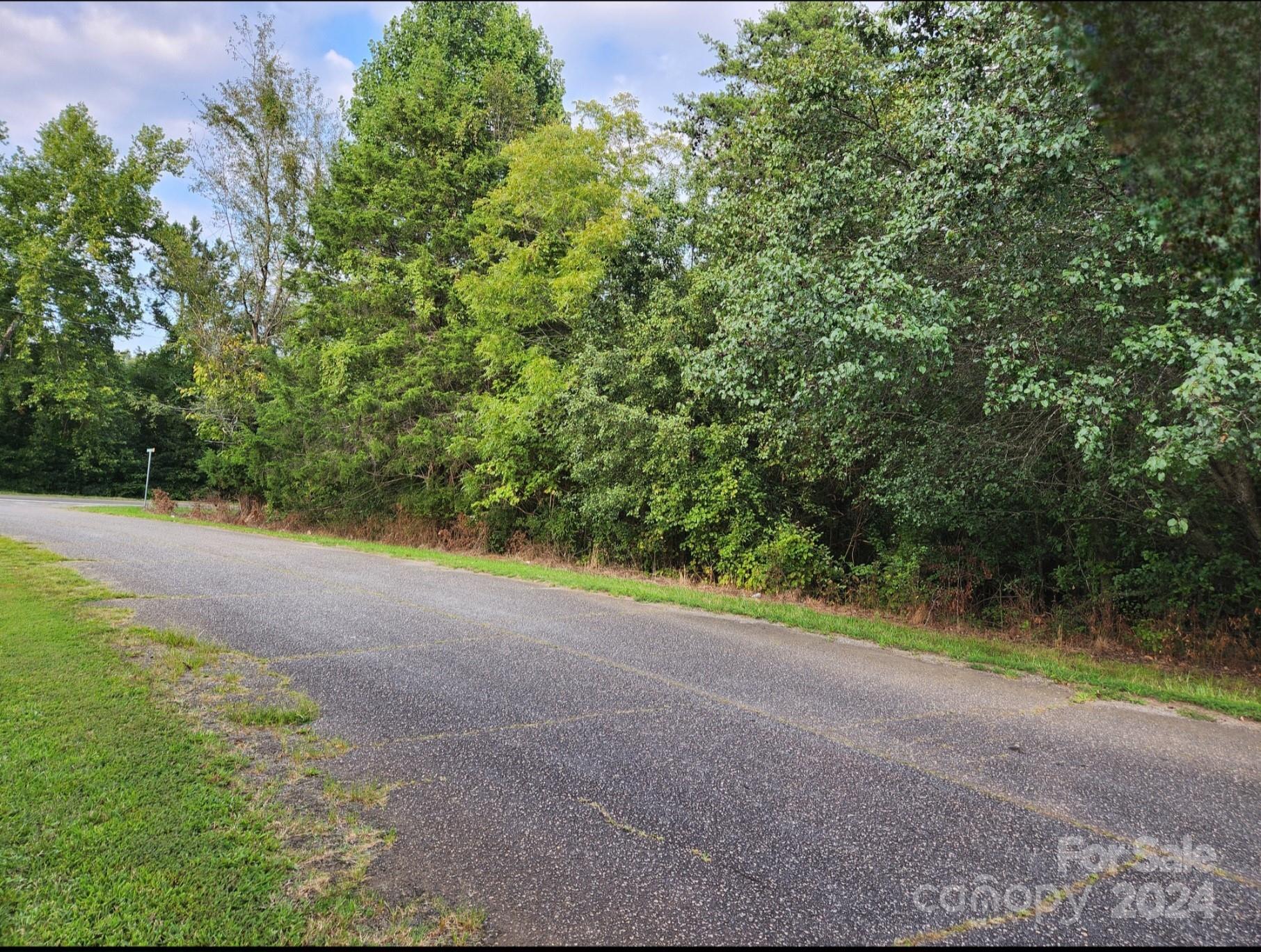 a view of a yard with a trees