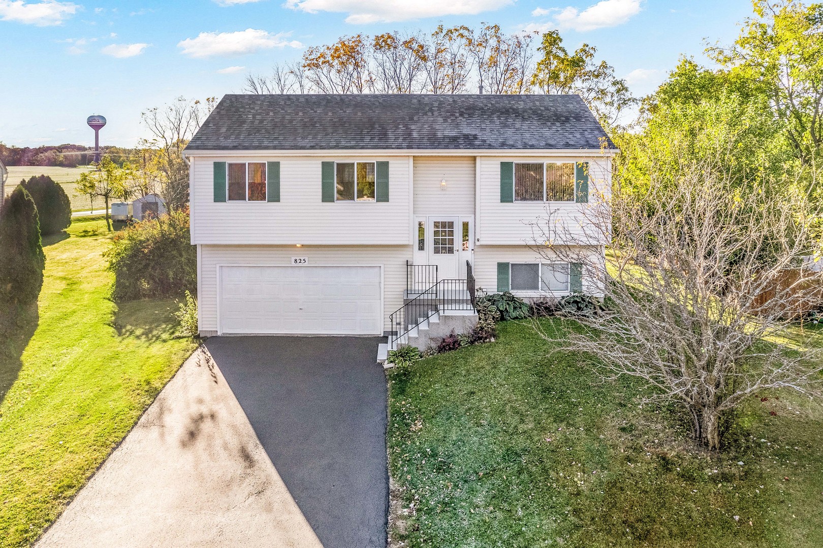 a aerial view of a house with a yard and potted plants