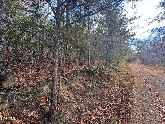 $12,000 | 2.52-acres Green Forest Road