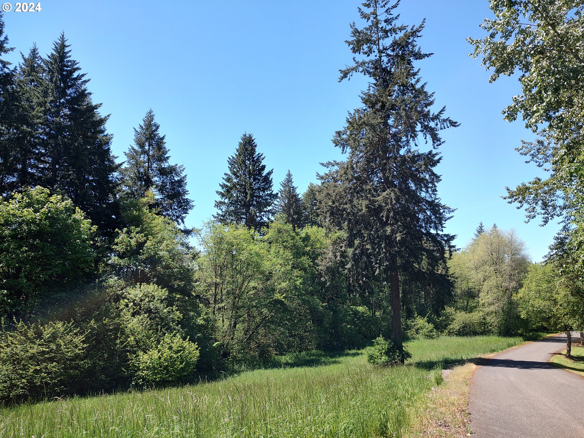 a view of backyard with green space