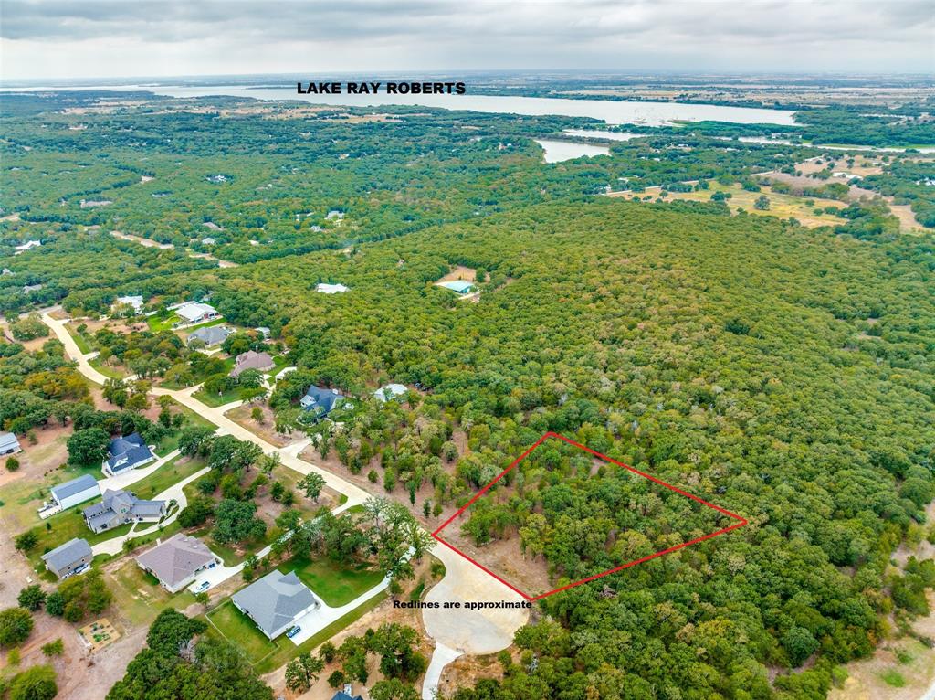 a view of a big yard with plants and large trees