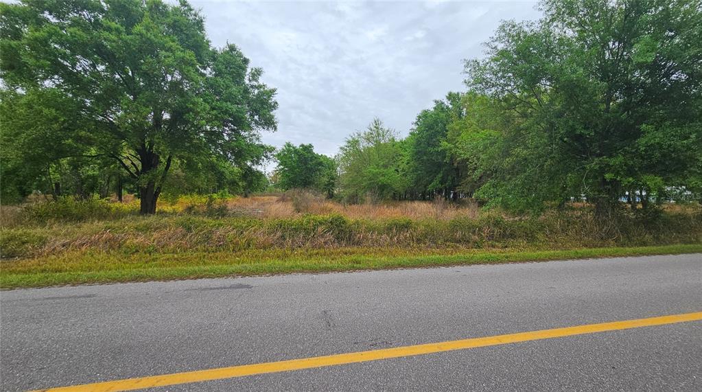 a view of a field with an trees